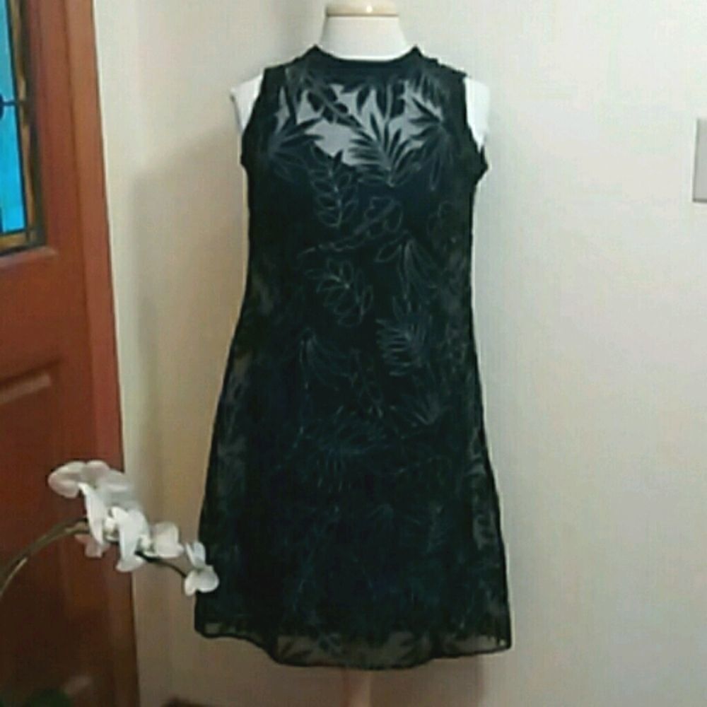 Heidi Weisel Dress with Slip